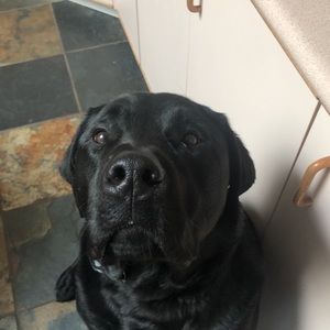 Meet your Posher, Renae